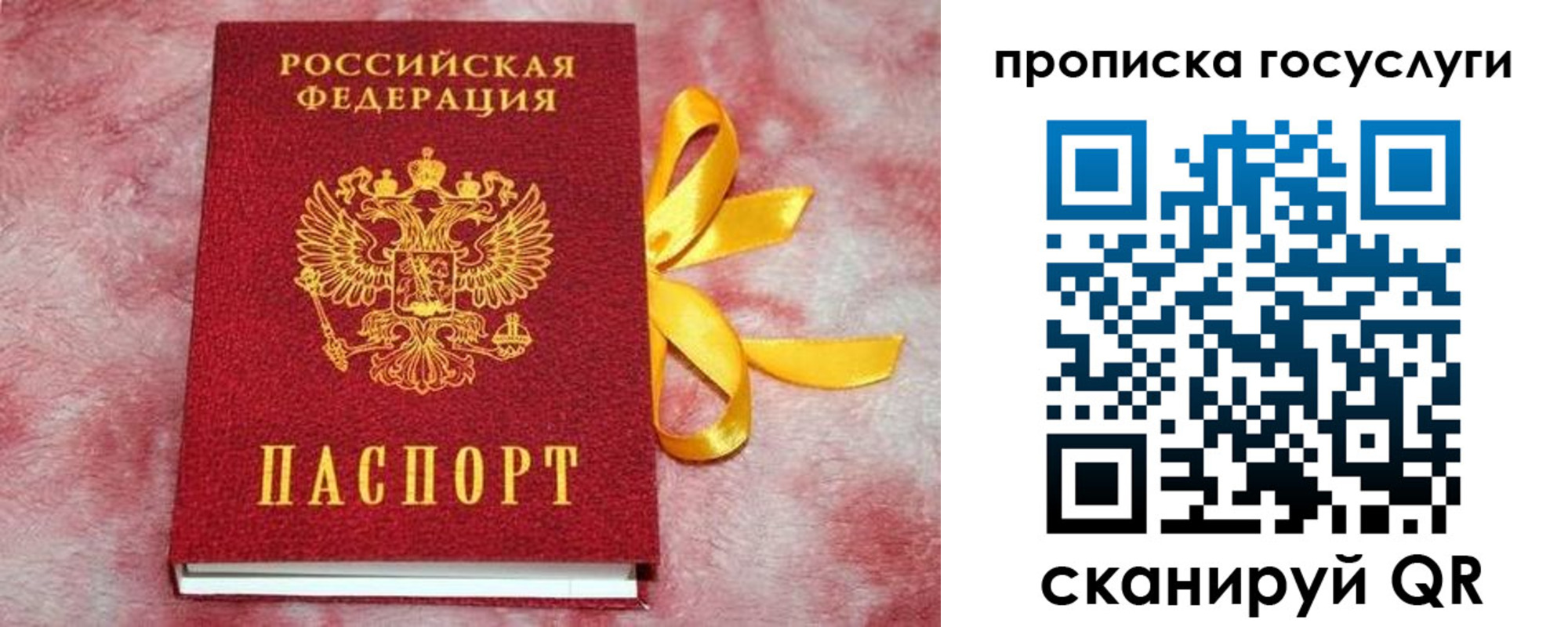 прописка законно в Суровикино